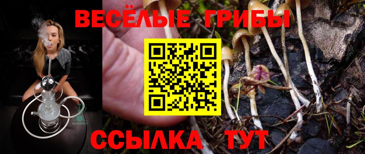 Псилоцибиновые грибы мицелий Лангепас