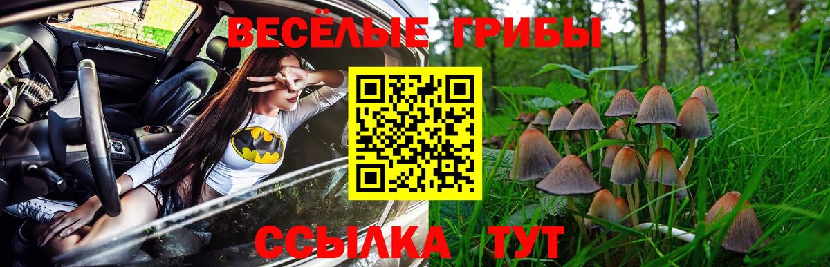 Лангепас  Галлюциногенные грибы ЛСД  Вход с VPN  Псилоцибиновые грибы мицелий 